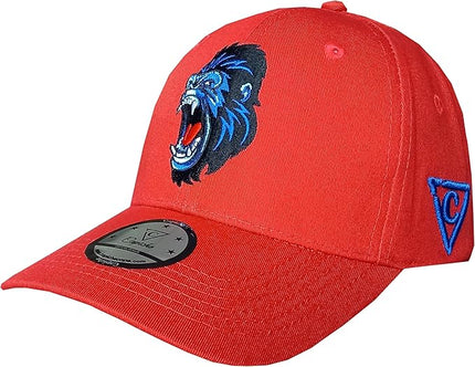 Capiche [99+ Variations] Special Series Snapback Cap - One Size Unisex Men