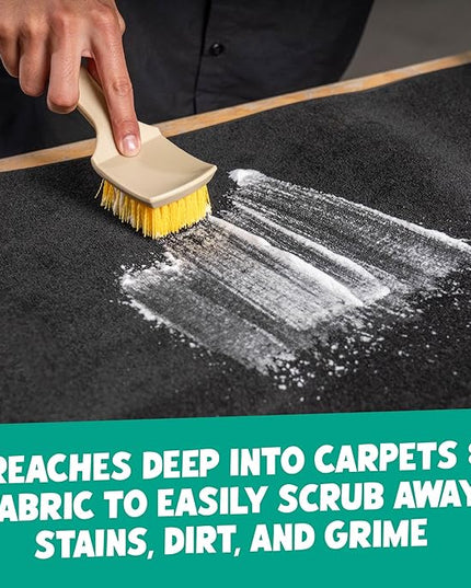 Chemical Guys Induro 7 Heavy Duty Interior Carpet&Upholstery Detailing Brush – Durable Bristles,Car Carpet Brush for Deep Cleaning Fabric,Mats&Seats,Ergonomic Grip for Comfort and Control,(Pack of 12)