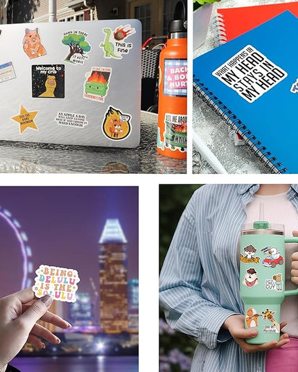 225PCS Funny Holographic Stickers for Adults by Puraesla, Waterproof Vinyl Pack Sarcastic Relatable Meme Decals for Laptop, Water Bottle, Phone, Kindle, Journal, Scrapbooking (Hot Mess Xpress)