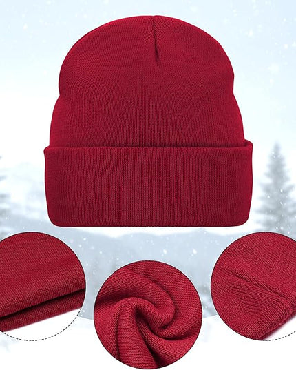 Pistha 12 Pack Beanie Hats Winter Hats for Men Women Knit Cuffed Skull Cap Warm Bulk Pack Gifts for Christmas Cold Weather