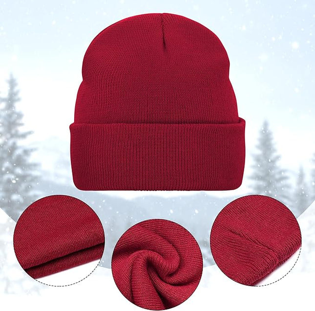 Pistha 12 Pack Beanie Hats Winter Hats for Men Women Knit Cuffed Skull Cap Warm Bulk Pack Gifts for Christmas Cold Weather