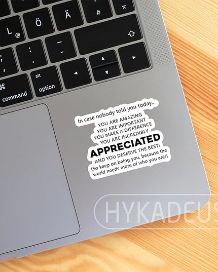 (3Pcs) in Case Nobody Told You Today You are Amazing & Appreciated Stickers Motivational Inspirational Encouraging Quote Vinyl Decals for Laptop, Water Bottle, Journal, Planner, 3" x 2.3"