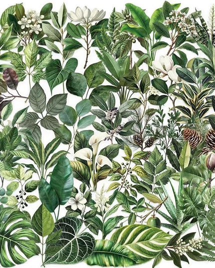 100PCS Green Plant Transparent Stickers,Potted Plant Floral Decals Stickers for Scrapbook Laptop Water Bottles Phone Guitar Decals for Adults (Green Plants)