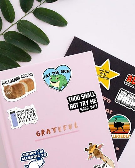 225PCS Funny Holographic Stickers for Adults by Puraesla, Waterproof Vinyl Pack Sarcastic Relatable Meme Decals for Laptop, Water Bottle, Phone, Kindle, Journal, Scrapbooking (Hot Mess Xpress)