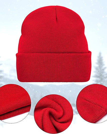 Pistha 12 Pack Beanie Hats Winter Hats for Men Women Knit Cuffed Skull Cap Warm Bulk Pack Gifts for Christmas Cold Weather