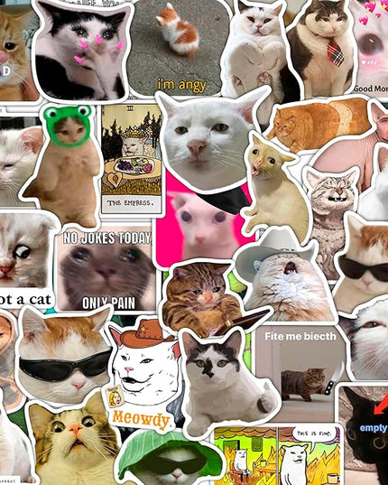 BulbaCraft 100Pcs Cat Meme Stickers - Funny Cat Stickers, Gifts for Women & Men