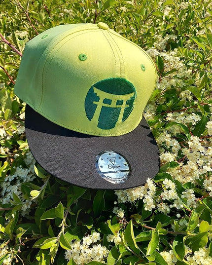 Capiche [99+ Variations] Special Series Snapback Cap - One Size Unisex Men